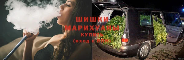 ГАЛЛЮЦИНОГЕННЫЕ ГРИБЫ Арсеньев