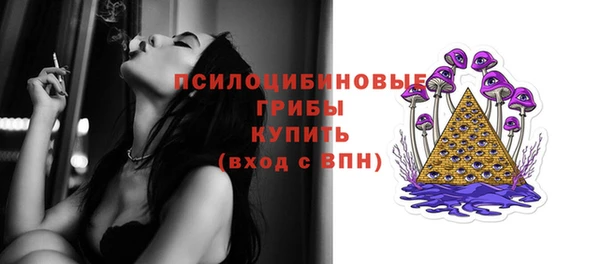 ГАЛЛЮЦИНОГЕННЫЕ ГРИБЫ Арсеньев