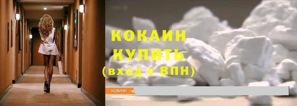 ГАЛЛЮЦИНОГЕННЫЕ ГРИБЫ Арсеньев