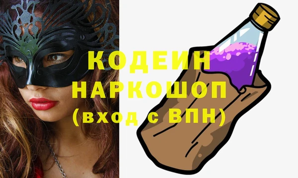ГАЛЛЮЦИНОГЕННЫЕ ГРИБЫ Арсеньев
