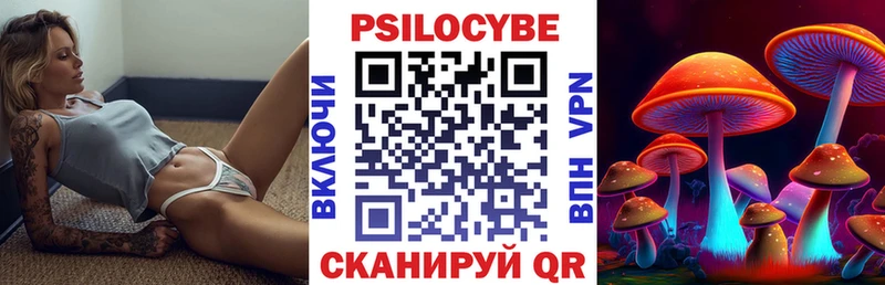 кракен ТОР  наркотики  Прохладный  площадка состав  Псилоцибиновые грибы Magic Shrooms 